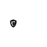 MSI logo on Hasinth Pathirana website